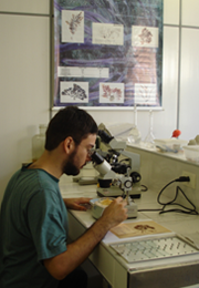 Laboratório de Macroalgas